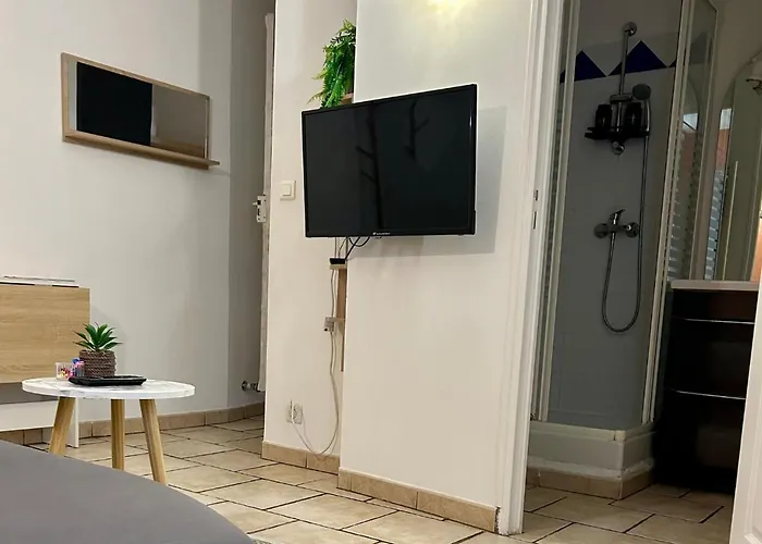 Le Cocon Des Carmes - Hypercentre