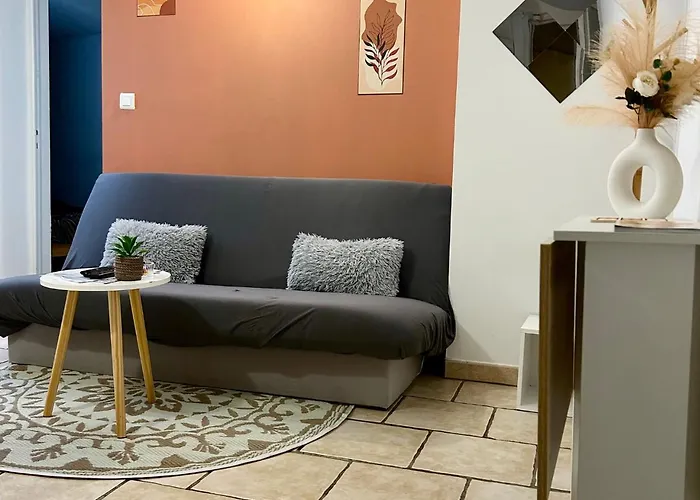 Le Cocon Des Carmes - Hypercentre