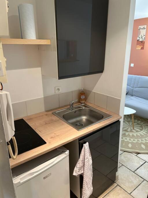 Le Cocon Des Carmes - Hypercentre Apartment *