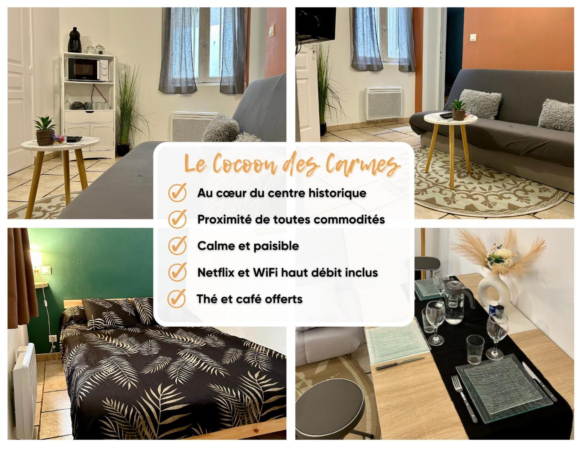 Le Cocon Des Carmes - Hypercentre *