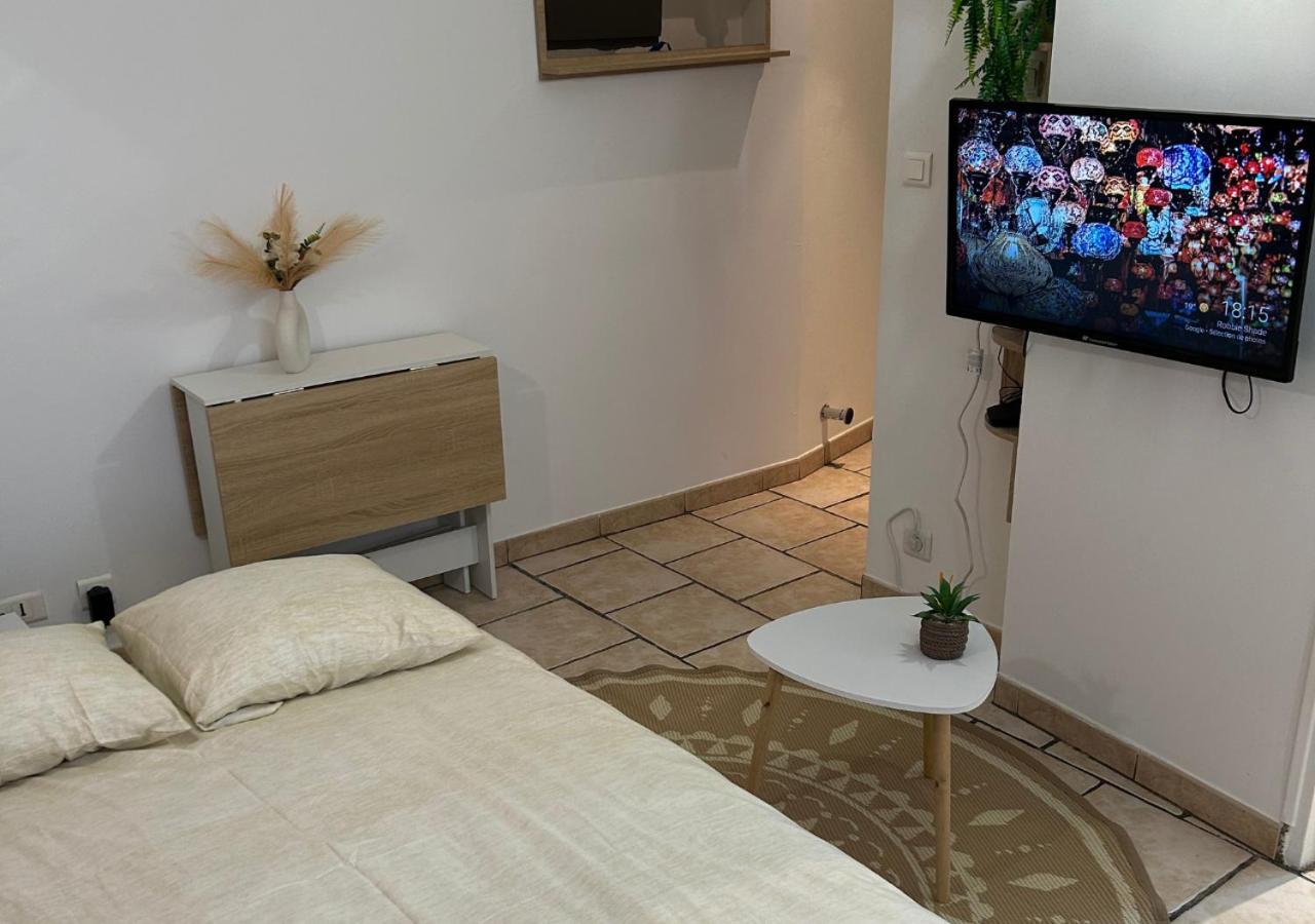 Le Cocon Des Carmes - Hypercentre Apartment